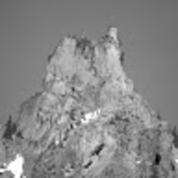 Meet your Posher, Nevaeh - Picture 1 of 1